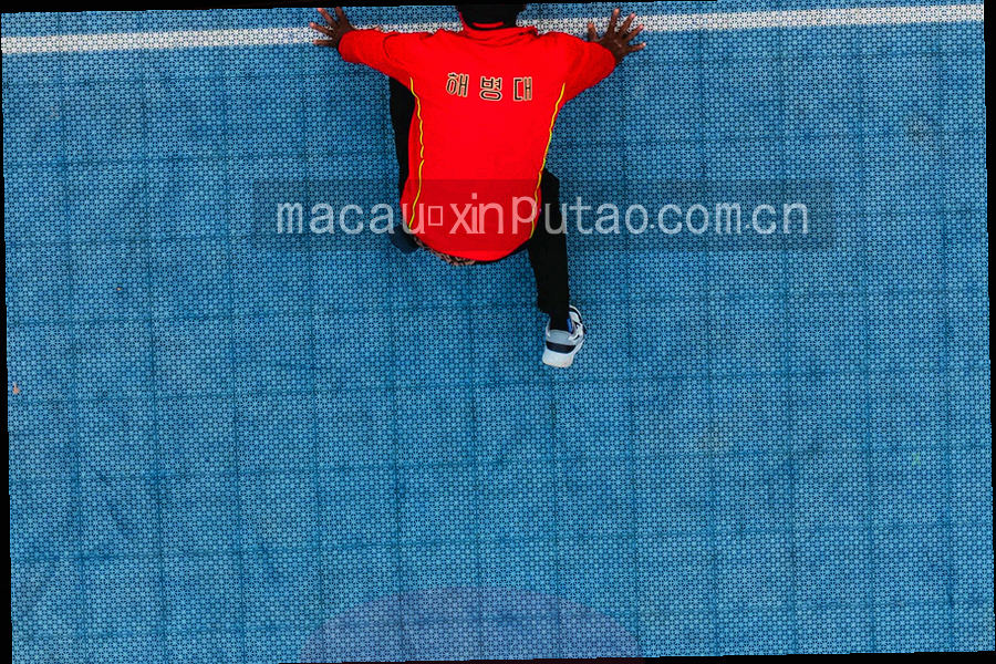 葡萄藤细枝与果实特写被斜切成几何块面